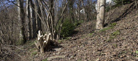 Land in Kennelbach, Austria No. 162990 10