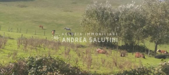 6 bedrooms House in Pisa, Italy No. 238612 13