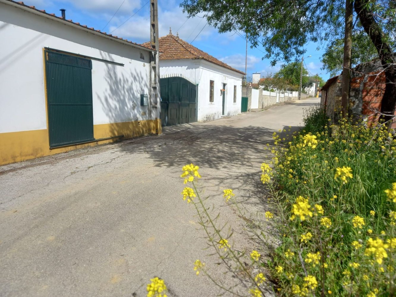  Land in Torres Novas, Portugal No. 193986