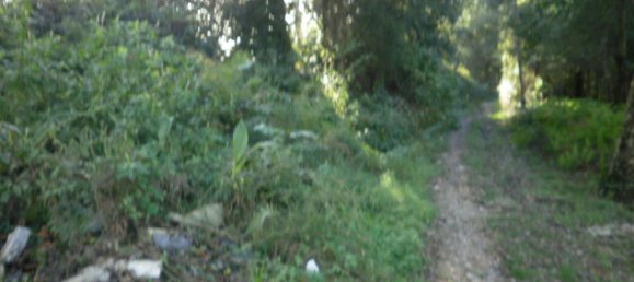 Grundstück in Vila Nova de Gaia, Portugal 9000m², Nr. 41928 2