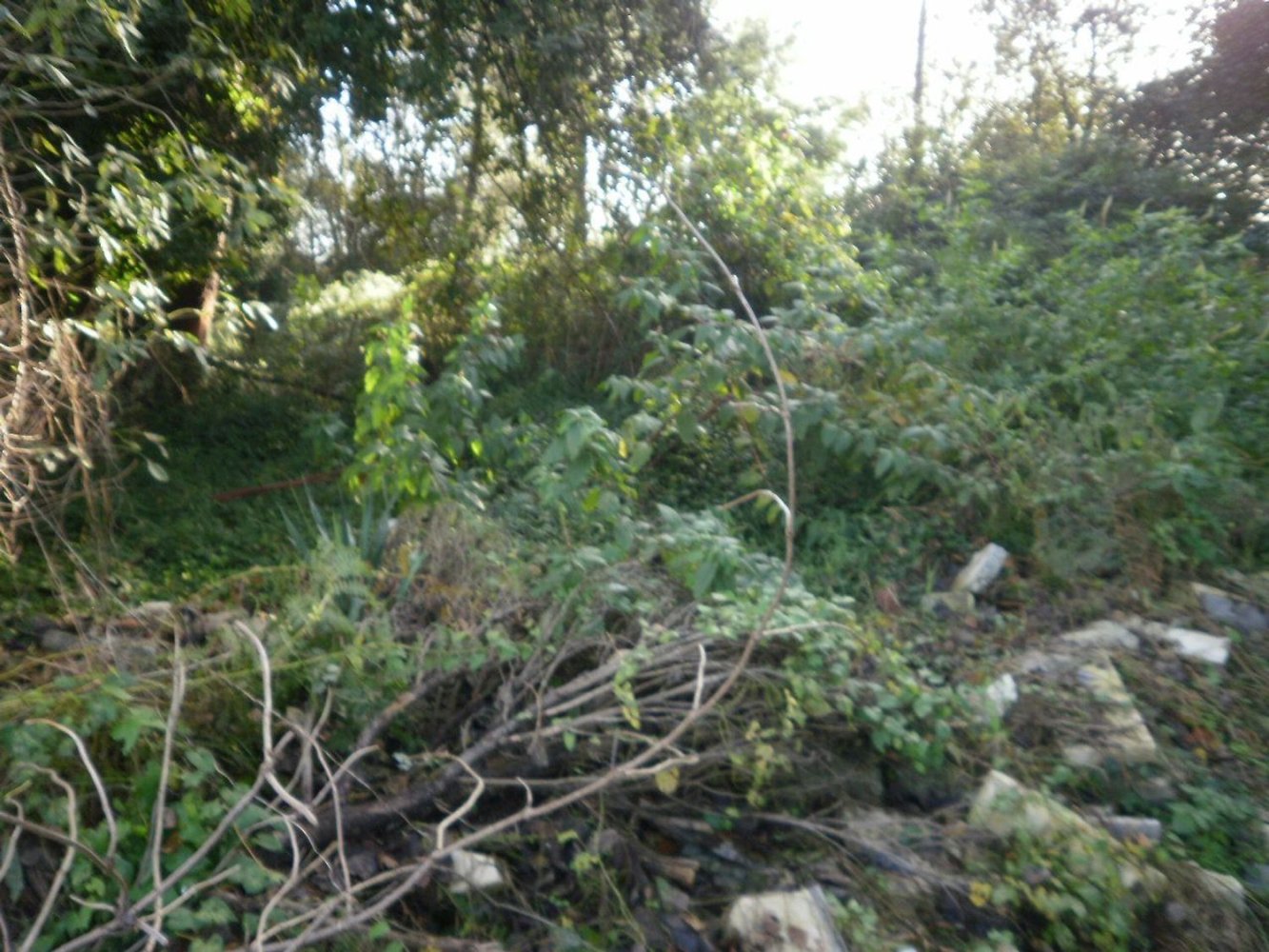 Grundstück in Vila Nova de Gaia, Portugal 9000m², Nr. 41928