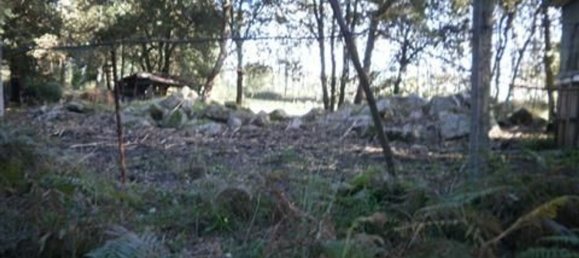 Grundstück in Vila Nova de Gaia, Portugal 9000m², Nr. 41928 5