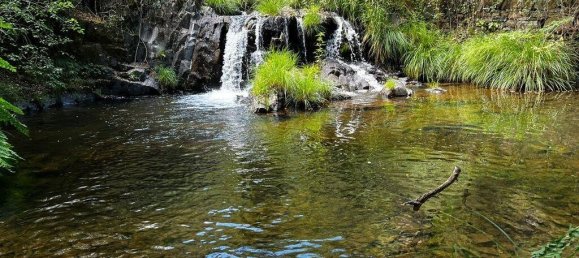 6 bedrooms House in Pedrogao Grande, Portugal No. 140850 27