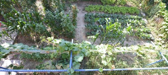 Вилла с 6 комнатами в Новеллара, Италия № 140643 31