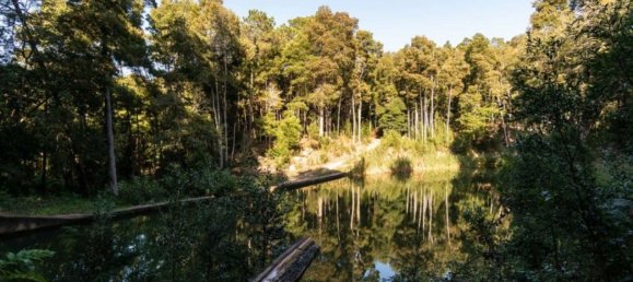 9 Schlafzimmer Haus in Sintra, Portugal, Nr. 50336 3