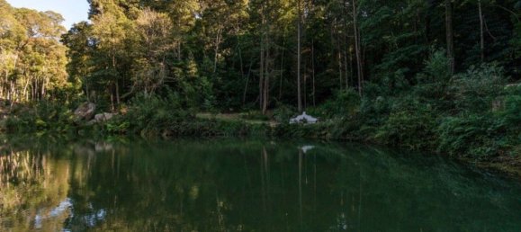 9 Schlafzimmer Haus in Sintra, Portugal, Nr. 50336 4
