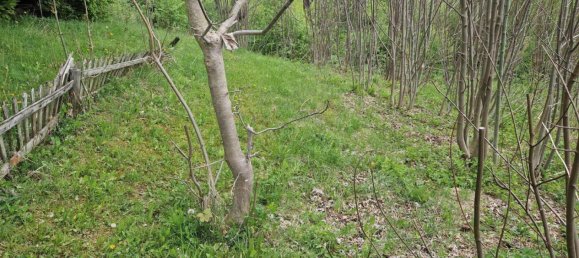Terrain à Spital am Semmering, Austria 2815m² No. 131986 20