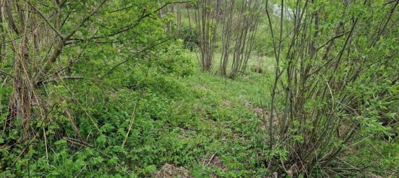 Terrain à Spital am Semmering, Austria 2815m² No. 131986 19