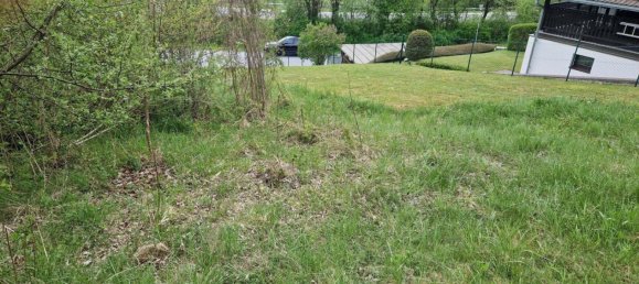 Terrain à Spital am Semmering, Austria 2815m² No. 131986 10