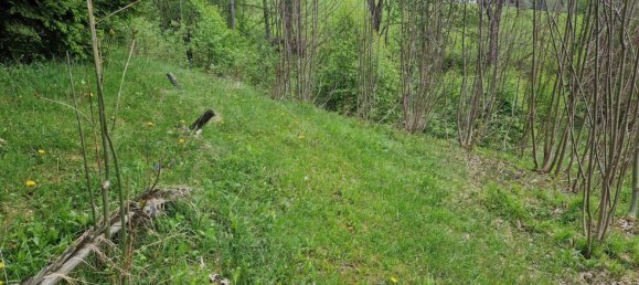 Terrain à Spital am Semmering, Austria 2815m² No. 131986 9