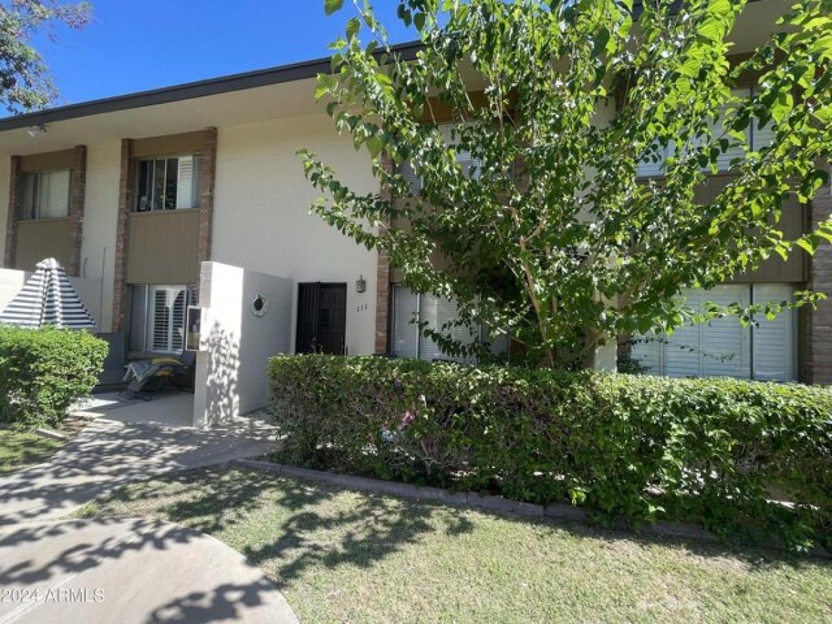 2 bedrooms House in Scottsdale, USA No. 438633