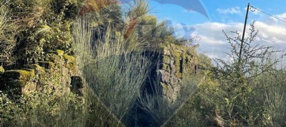 1 غرف نوم منزل في Vieira do Minho, Portugal رقم 169234 10