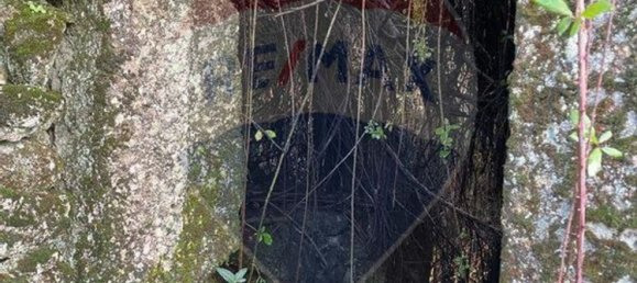 1 غرف نوم منزل في Vieira do Minho, Portugal رقم 169234 3