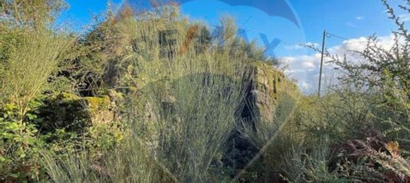 1 غرف نوم منزل في Vieira do Minho, Portugal رقم 169234 11