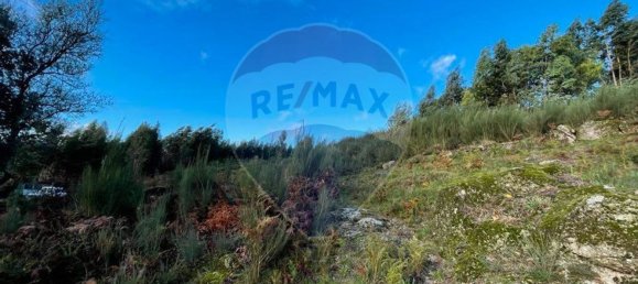 1 غرف نوم منزل في Vieira do Minho, Portugal رقم 169234 6