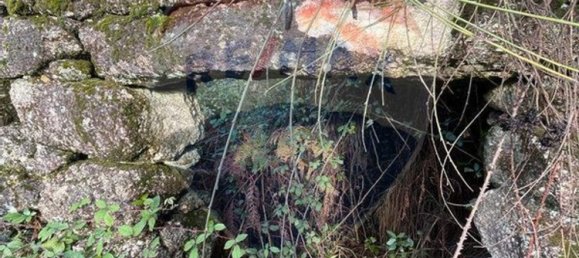 1 غرف نوم منزل في Vieira do Minho, Portugal رقم 169234 4