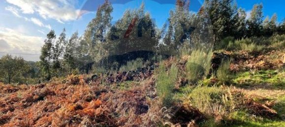 1 غرف نوم منزل في Vieira do Minho, Portugal رقم 169234 8