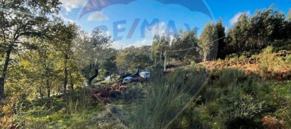 1 غرف نوم منزل في Vieira do Minho, Portugal رقم 169234 7