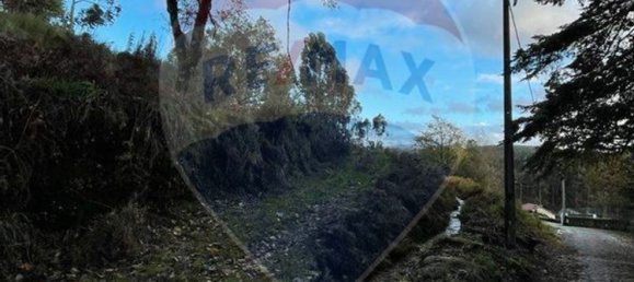 1 غرف نوم منزل في Vieira do Minho, Portugal رقم 169234 5