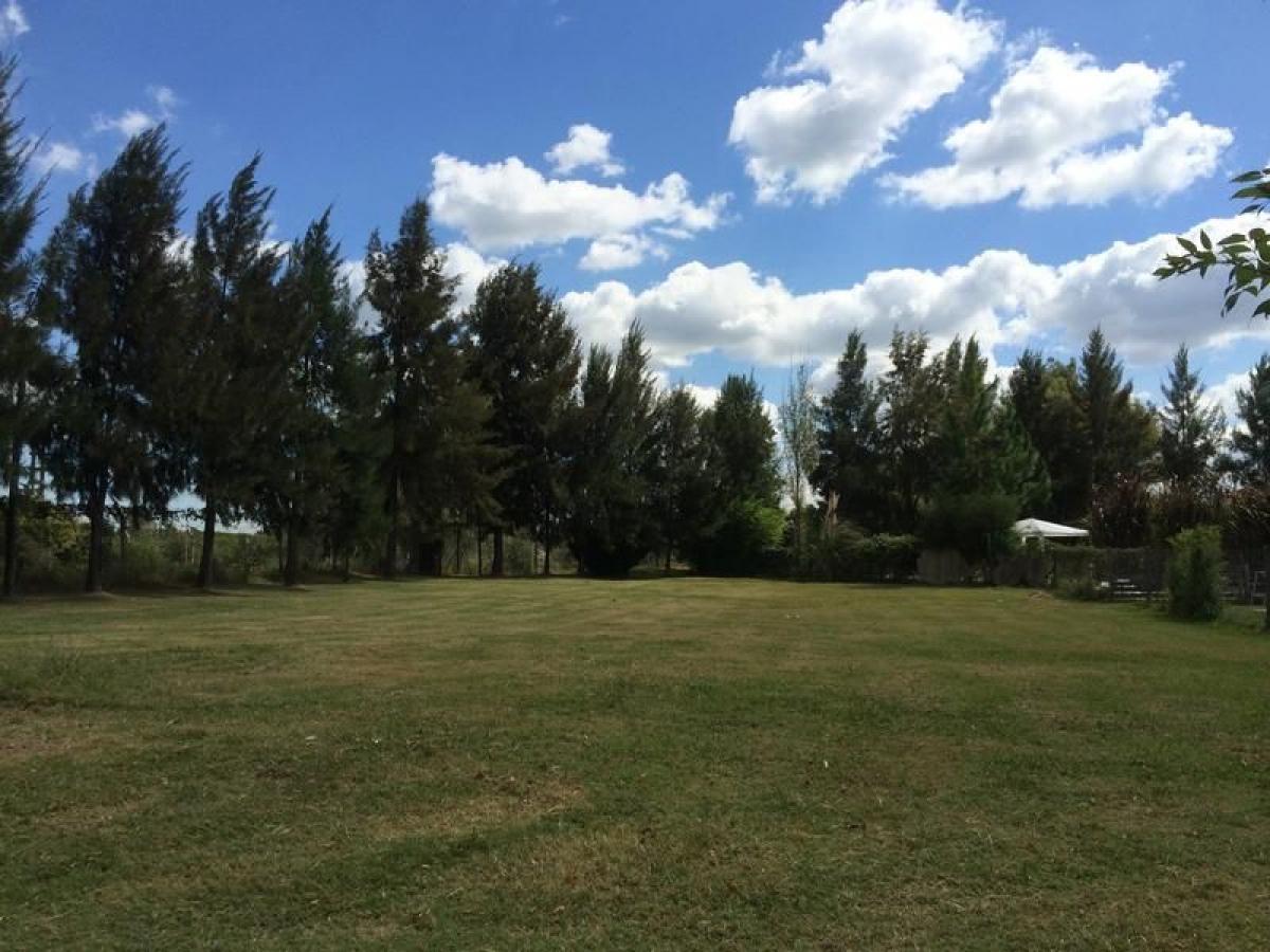  Land in Tigre, Argentina No. 115696