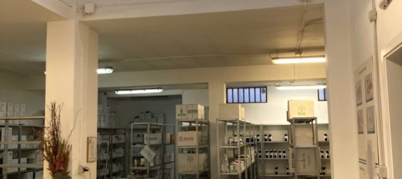 6 rooms Commercial property in Turin, Italy No. 117678 12