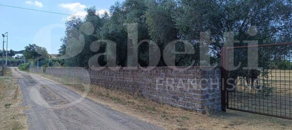 Grundstück in Nettuno, Italy 5480m², Nr. 74252 2