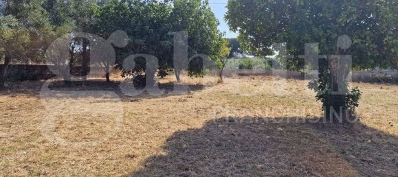 Grundstück in Nettuno, Italy 5480m², Nr. 74252 3