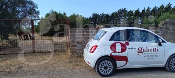 Grundstück in Nettuno, Italy 5480m², Nr. 74252 13