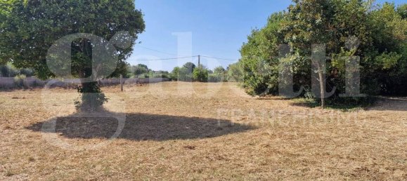 Grundstück in Nettuno, Italy 5480m², Nr. 74252 15