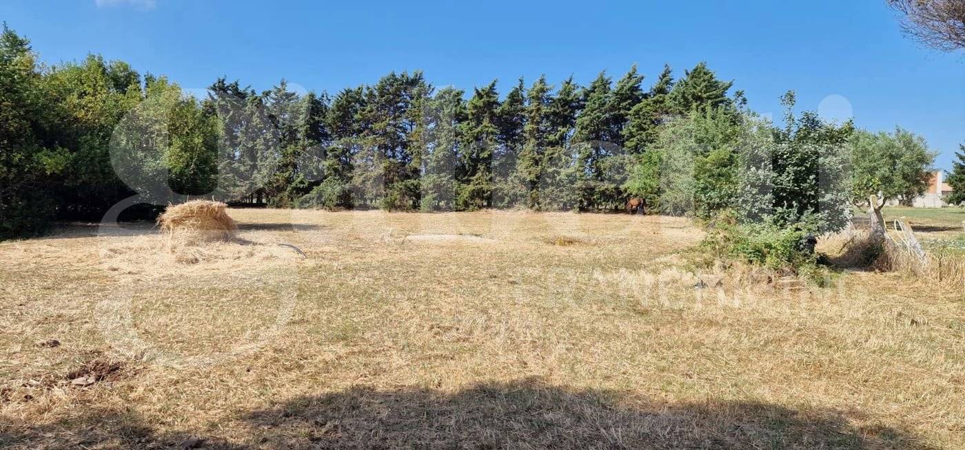 Земельный участок 5480м² в Неттуно, Италия № 74252