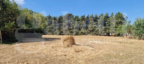 Grundstück in Nettuno, Italy 5480m², Nr. 74252 8