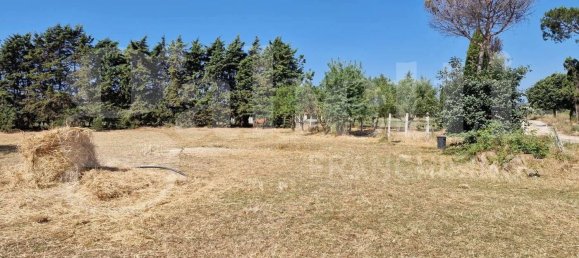 Grundstück in Nettuno, Italy 5480m², Nr. 74252 10