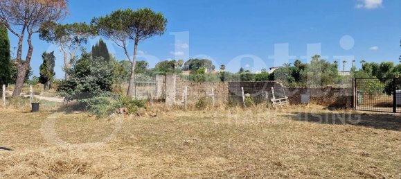 Grundstück in Nettuno, Italy 5480m², Nr. 74252 7