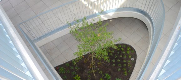 Apartamento de 2 habitaciónes en Weiler, Austria No. 233527 12