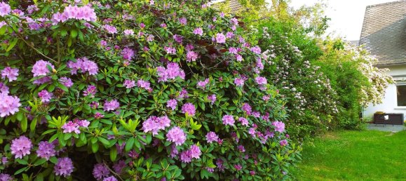 Таунхаус с 4 спальнями в Райнгау-Таунус, Германия № 297001 28