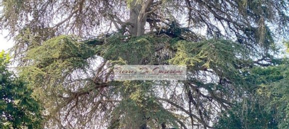 4 bedrooms House in Vic-Fezensac, France No. 360847 18