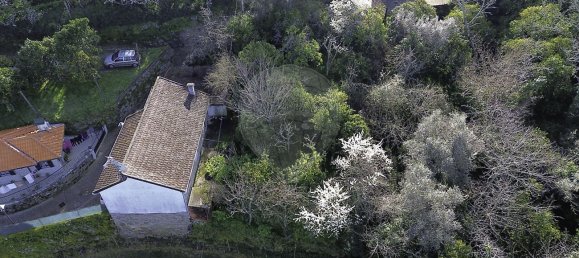 3 Schlafzimmer Haus in Oliveira do Douro, Portugal, Nr. 20546 4