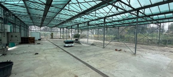 Склад 26000м² в Колоньо аль Серио, Италия № 364741 6