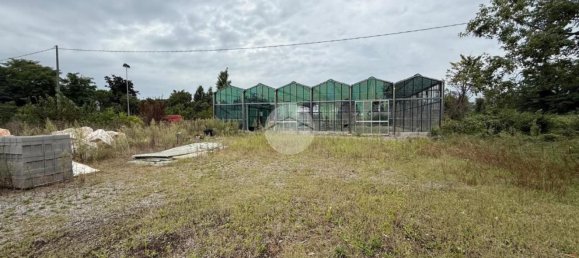 Склад 26000м² в Колоньо аль Серио, Италия № 364741 18