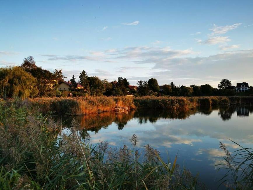 Terrain à Hennersdorf, Austria 2060m² No. 115166