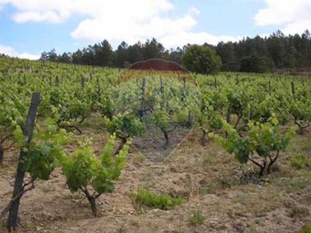 28685m² Land in Penalva do Castelo, Portugal No. 37339