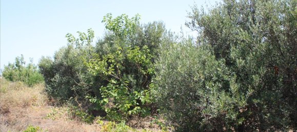 540m² Hotel in Chania, Greece No. 5567 3