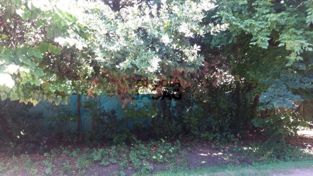 Terreno en Campo Creado, Argentina No. 37641