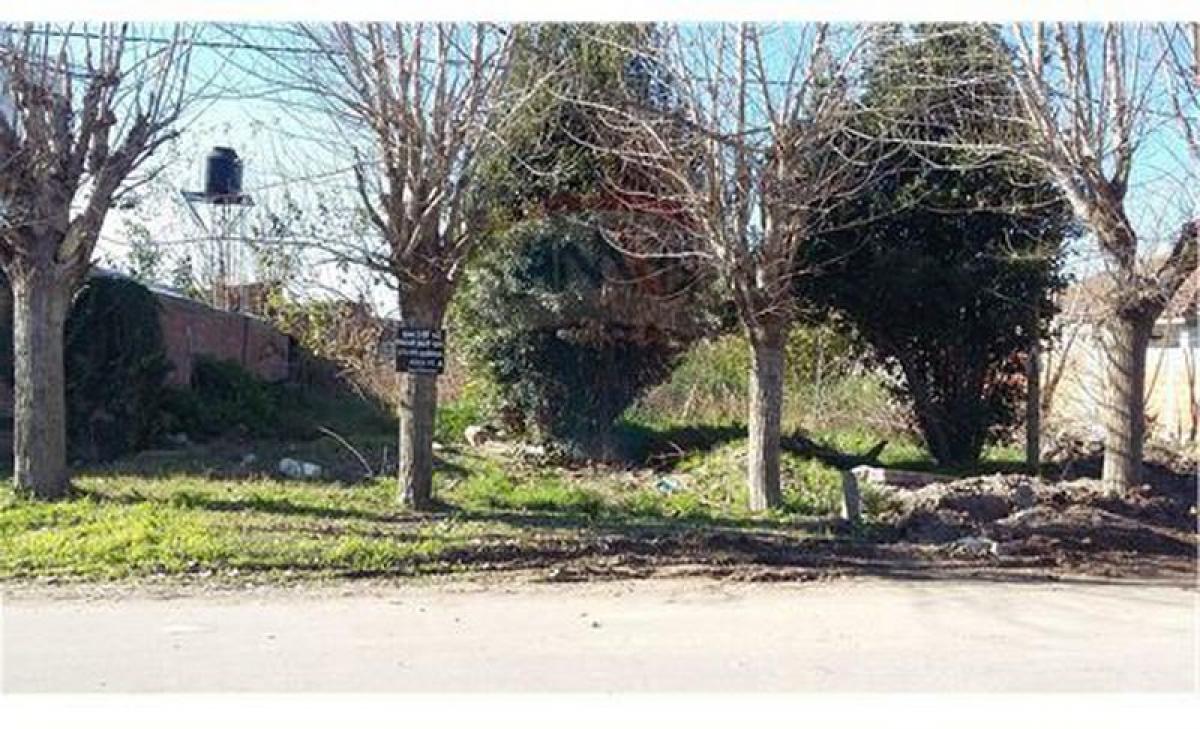  قطعة أرض في Campo Creado, Argentina رقم 37251