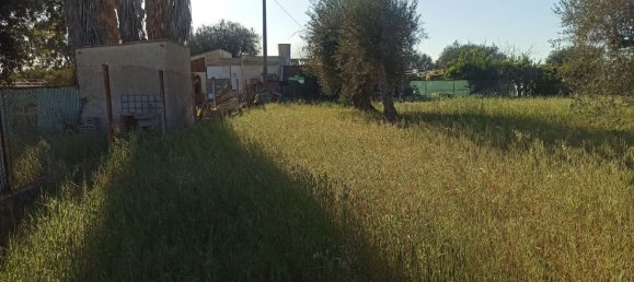 1312m² Land in Augusta, Italy No. 61298 16