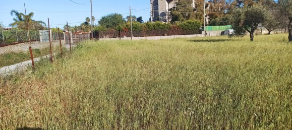 1312m² Land in Augusta, Italy No. 61298 19