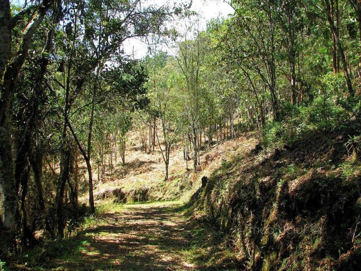  قطعة أرض في Antioquia, Colombia رقم 824