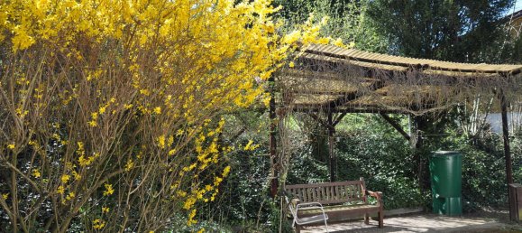 4 bedrooms House in Bergstrase, Germany No. 361944 17