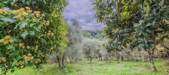 2 bedrooms House in Cavriglia, Italy No. 81803 12