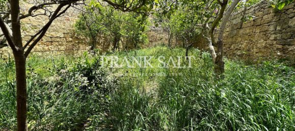 3 غرف نوم منزل في Zejtun, Malta رقم 2905 17